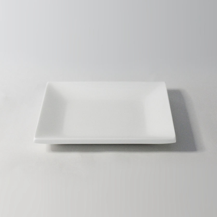 Plate No. 1